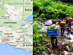 Garapenerako alternatiba bidezko eta sustangarriak bultzatzen.