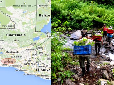 Garapenerako alternatiba bidezko eta sustangarriak bultzatzen.
