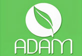 adam