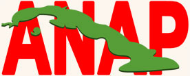 ANAP: Asociación Nacional de Agricultores Pequeños 1 anap