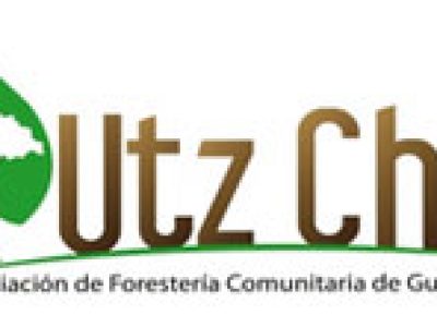UT’Z CHE’: Asociación de Forestería Comunitaria de Guatemala