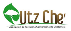 UT'Z CHE': GUATEMALAKO BASOGINTZA KOMUNITARIOKO ELKARTEA 1 utzche
