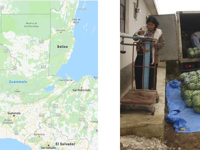 Quetzaltenango-ko 4 udalerritako produktoreek genero-berdintasunaren arloko