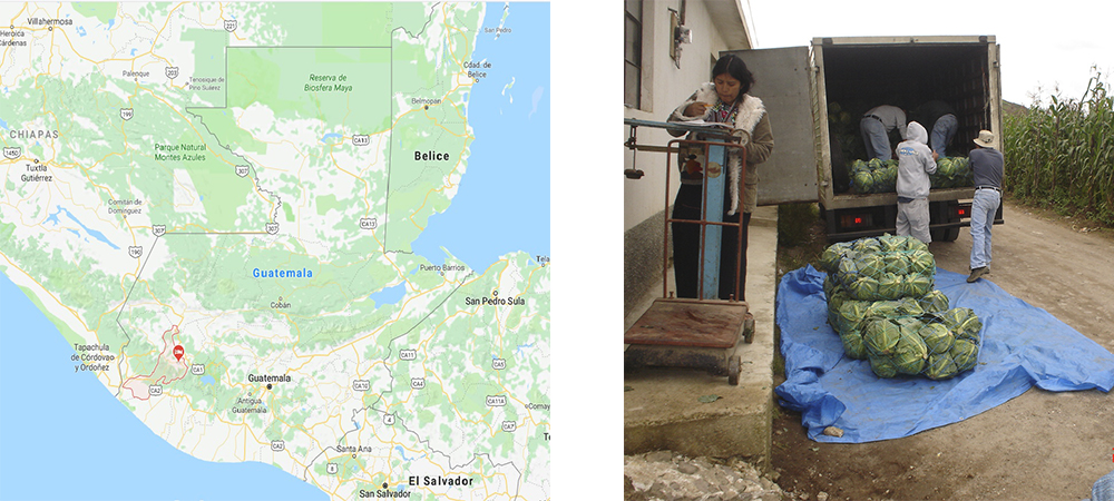 Quetzaltenango-ko 4 udalerritako produktoreek genero-berdintasunaren arloko