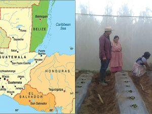 Implementación de una finca modelo con enfoque agroecológico…