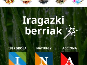 Espainiako enpresa energetiko handiek euren APP propioa abiaraziko dute