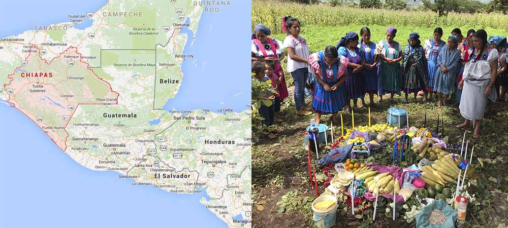 Mujeres indígenas y campesinas organizadas y articuladas, impulsan el cumplimiento de los Derechos de las Mujeres de Chiapas…”