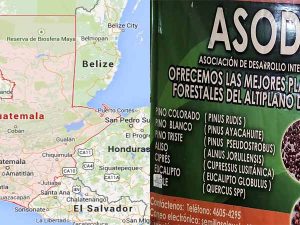 Empoderamiento socio-económico de 9 organizaciones de mujeres del altiplano occidental de Guatemala