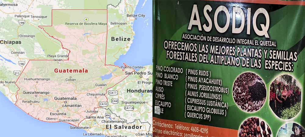 Empoderamiento socio-económico de 9 organizaciones de mujeres del altiplano occidental de Guatemala