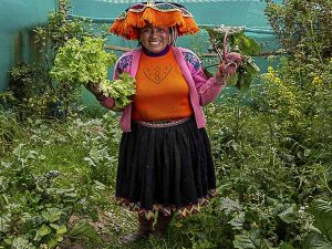 Productoras rurales andinas de Cusco (Perú) empoderadas lideran…