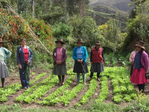 Agricultoras Andinas de la provincia de Quispicanchi (Cusco) empoderadas
