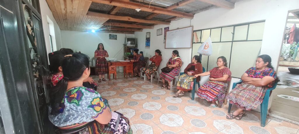 Empoderamiento socio-económico de dos organizaciones de mujeres indígenas en el marco de la defensa de sus derechos, en el altiplano occidental de Guatemala