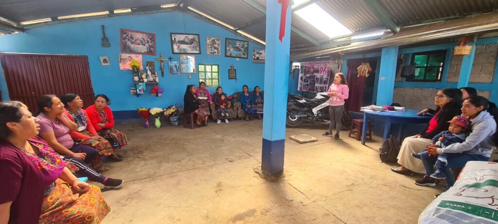 Emakume indigenen 2 erakunderen ahalduntze sozio-ekonomikoa, beren eskubideen defentsaren esparruan, Guatemalako mendebaldeko goi-lautadan