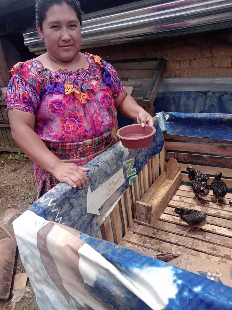 Emakume indigenen 2 erakunderen ahalduntze sozio-ekonomikoa, beren eskubideen defentsaren esparruan, Guatemalako mendebaldeko goi-lautadan