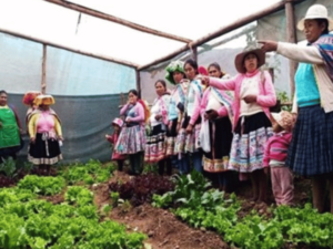 Landa-eremuko emakumeen autonomia politikoa, ekonomikoa eta hiritartasuna lortzeko lanean, elikagaien eta klimaren krisiari aurre egiteko, Calcan (Cusco)